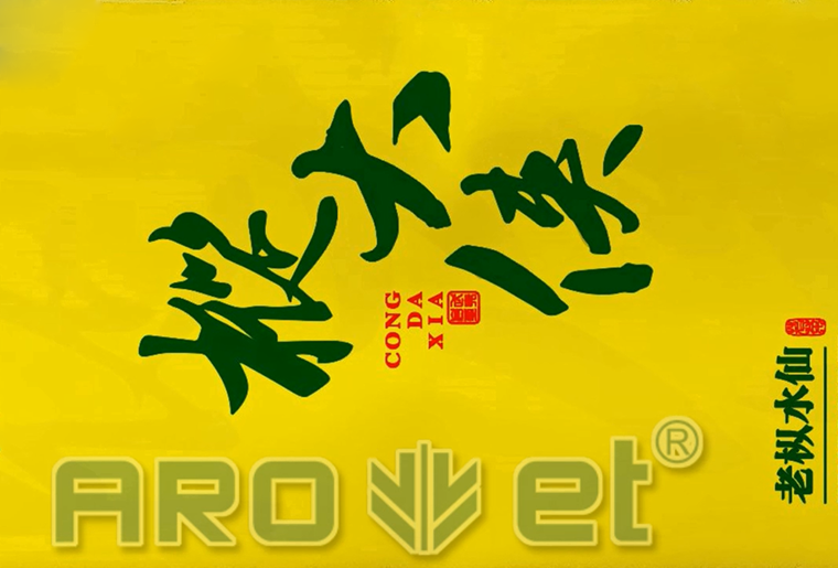 xc sports茶叶包装袋喷印设备在客户现场喷印视频